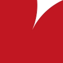 Critical Ventures Logo