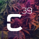 Critical 39 logo