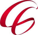 Critical Success Solutions logo
