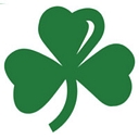Crl Electric logo