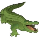 Crocodile Marketing logo