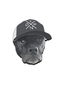 Crosstown Pub & Grill logo