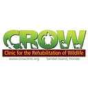 Clinic For The Rehabilitation Of Wildlife (Crow) logo