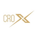 Crox Consulting Inc logo
