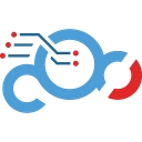 Crucial Data Solutions
