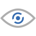 CRV Surveillance logo