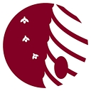 Consolidated School District of New Britain