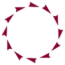 Bux-Csf-Iirp logo