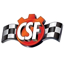 CSF