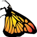 csgweb.com.ar icon