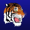 ctc.carthagetigers.org/ logo