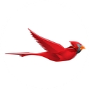 Cardinal Technology Systems, Corp.