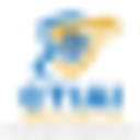 Ctiai Security logo