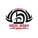 Aiki Academy Of Self Defense, Llc logo