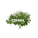 Ctrees logo
