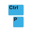 Control Print Solutions logo