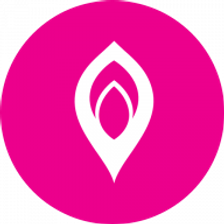 ctzpay.com