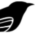 Cuculus logo