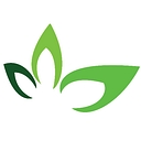 Culinary Cultivations