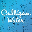Culligan 39WI