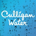 Culligan 1NC