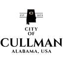 Town of McMullen logo