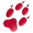 Cunning Running Software Limited logo