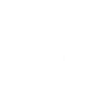 Curate Insights logo