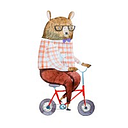 The Curious Bear Toy & Book Shop