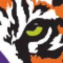 Tigervision logo
