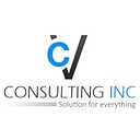 Favicon of CV Consulting