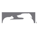 Chesapeake Veterinary Surgical Specialists