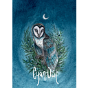 Cyan Owl