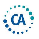 logo of Cyber Advisors, LLC