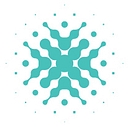 Cyber Indemnity Solutions logo