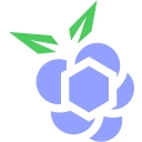 Cyberri logo