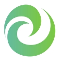 Cyber Synergy logo