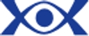 Cybervision, Inc. logo