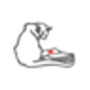 CyCAT.org logo