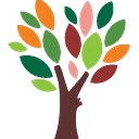 The Center For Youth And Family Solutions