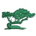 Cypress Healthcare Partners logo