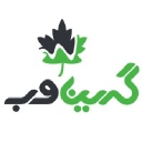 D4S logo