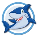 Favicon of Daddy Shark Swim School
