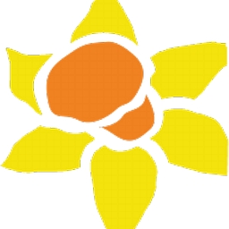 DP