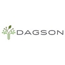 Favicon of Dagson Consulting