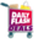 dailyflash.com logo