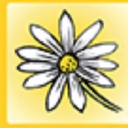 Daisybeck Studios Ltd logo