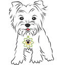 THE DAISY FUND logo