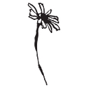 Favicon of Daisy Chang