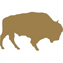 Dakota Foundation Dtd 122997 logo